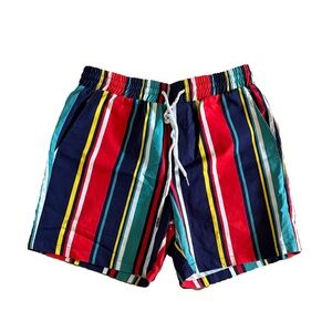 Colorful Striped Men's Shorts